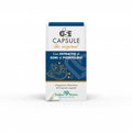GSE Capsule