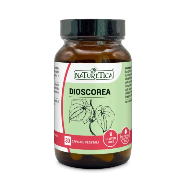DIOSCOREA